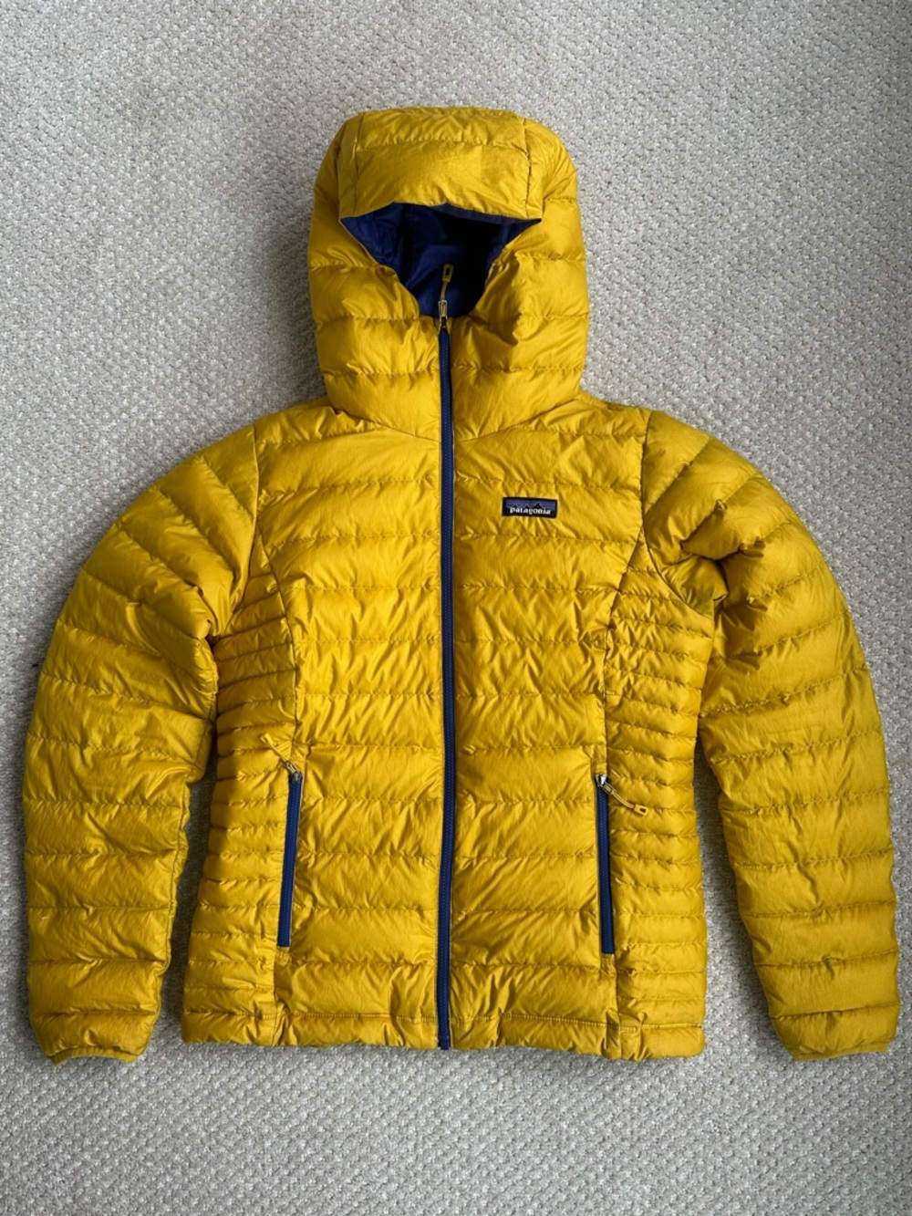 Patagonia Down Sweater Jacket with Hood